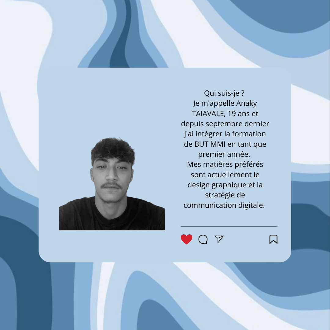 Image du projet